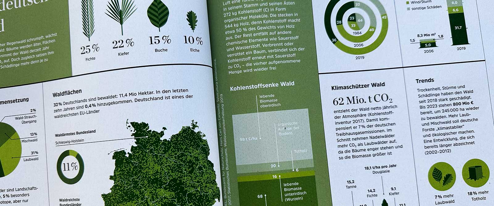 Infografik zur Darstellung von Daten und Fakten